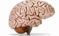 Beyincik Sarkması Ameliyatı Riskleri ve Sonrası